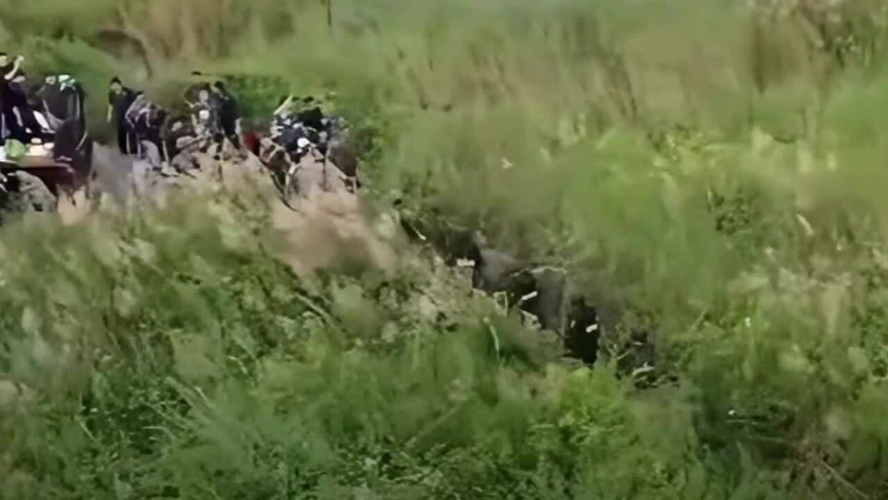 Cảnh sát bay flycam truy tìm tên cướp có súng trốn trong đồng cỏ