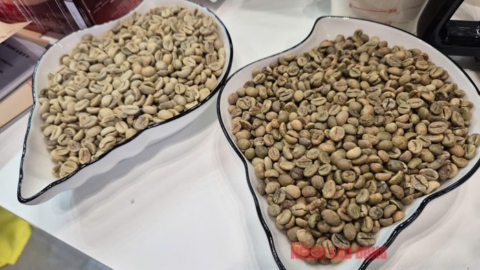 Giá cà phê hôm nay 28 - 10: Tại sao giá giảm mạnh bất ngờ? - Ảnh 2. Giá cà phê hôm nay 28 - 10: Tại sao giá giảm mạnh bất ngờ? - Ảnh 2.