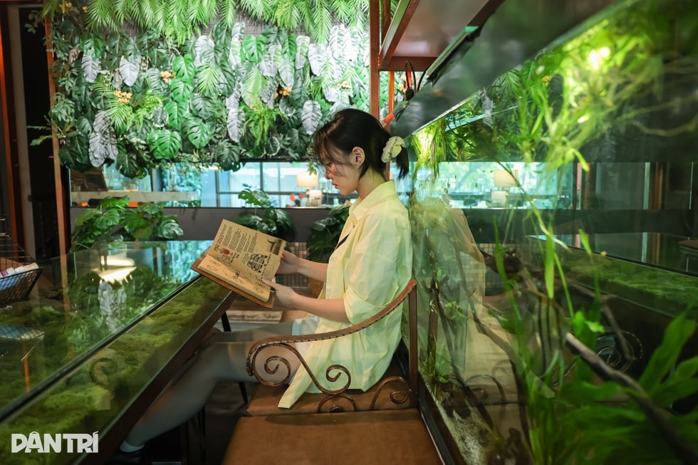 Quán cà phê như khu rừng nhỏ giữa phố Hà Nội, bàn uống nước là bể cá - 4 Quán cà phê như khu rừng nhỏ giữa phố Hà Nội, bàn uống nước là bể cá - 4
