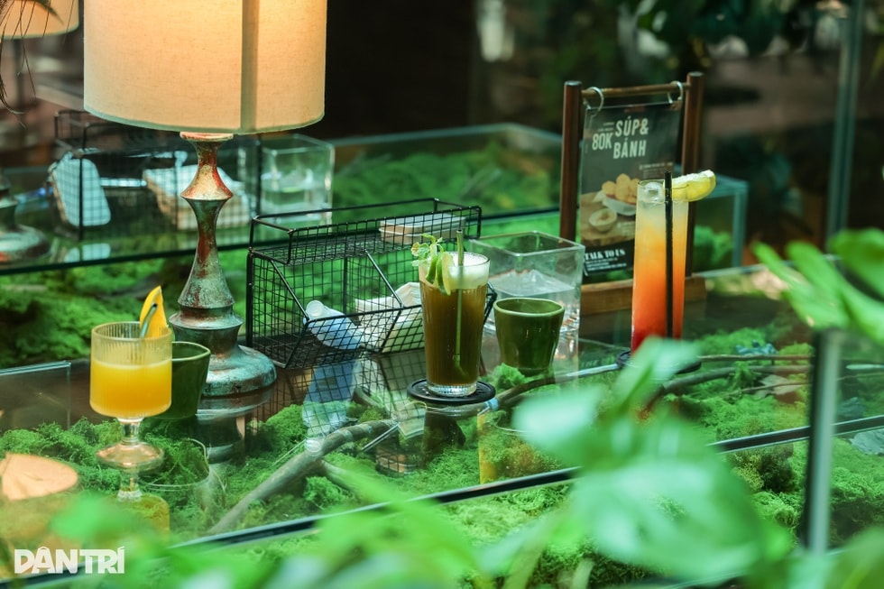 Quán cà phê như khu rừng nhỏ giữa phố Hà Nội, bàn uống nước là bể cá - 2 Quán cà phê như khu rừng nhỏ giữa phố Hà Nội, bàn uống nước là bể cá - 2