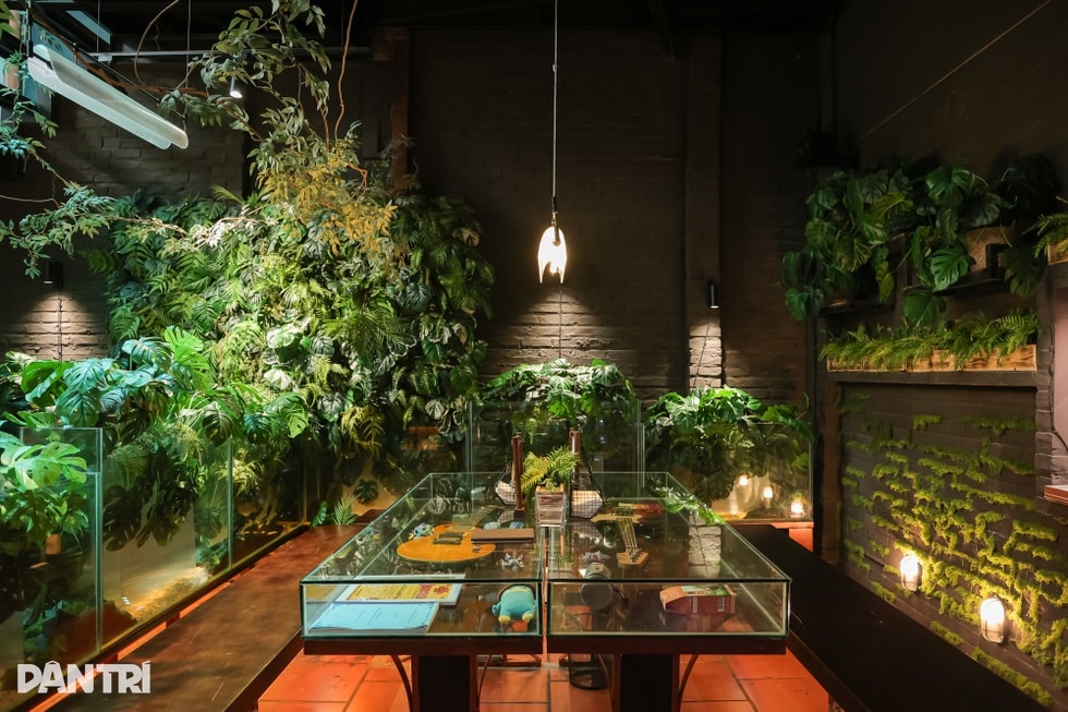 Quán cà phê như khu rừng nhỏ giữa phố Hà Nội, bàn uống nước là bể cá - 3 Quán cà phê như khu rừng nhỏ giữa phố Hà Nội, bàn uống nước là bể cá - 3