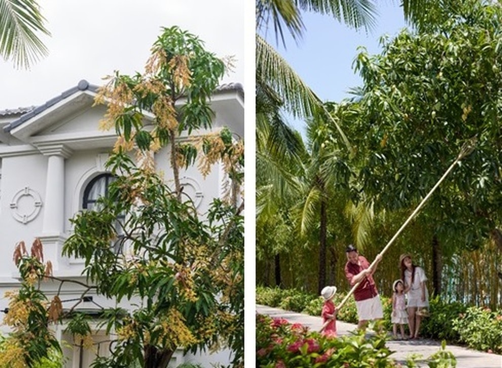 Tận hưởng kỳ nghỉ cuối năm bên gia đình tại Danang Marriott Non Nuoc Beach Villas - 1 Tận hưởng kỳ nghỉ cuối năm bên gia đình tại Danang Marriott Non Nuoc Beach Villas - 1