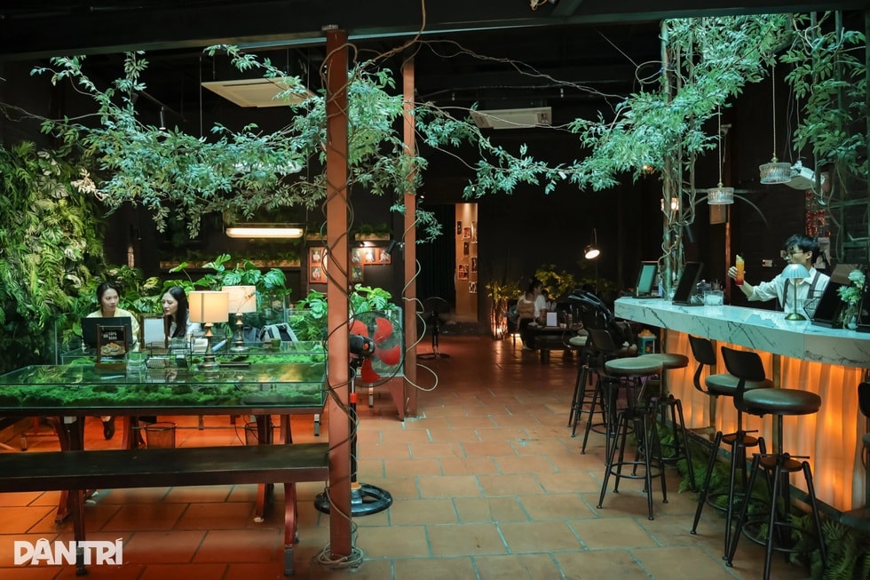 Quán cà phê như khu rừng nhỏ giữa phố Hà Nội, bàn uống nước là bể cá - 1 Quán cà phê như khu rừng nhỏ giữa phố Hà Nội, bàn uống nước là bể cá - 1