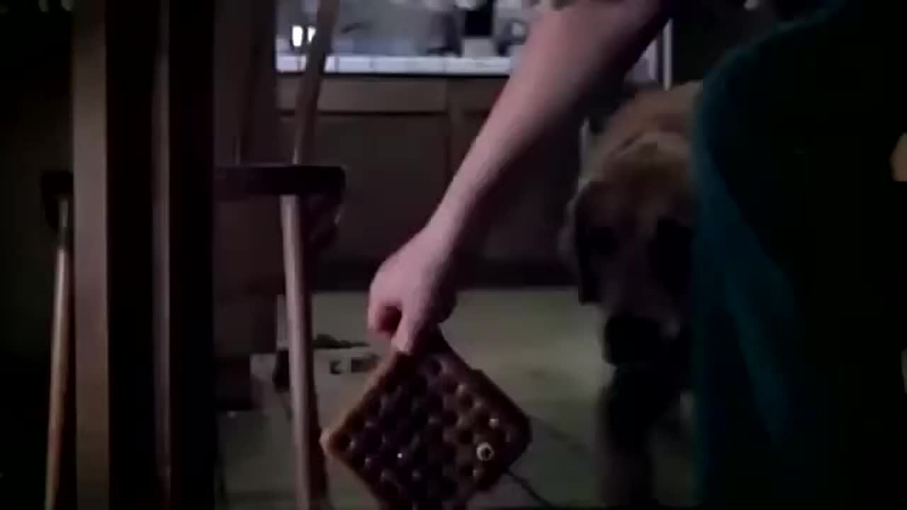 Trailer 'Poltergeist' (1982)