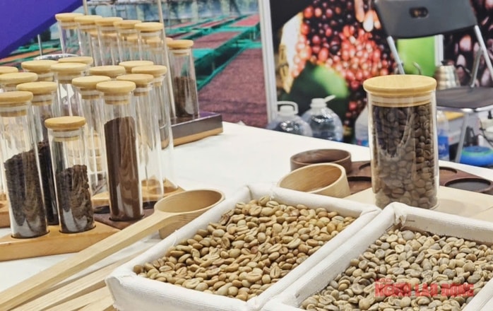 Giá cà phê hôm nay 29 - 10: Hồi phục , Việt Nam chi 560 triệu USD nhập khẩu cà phê - Ảnh 2.