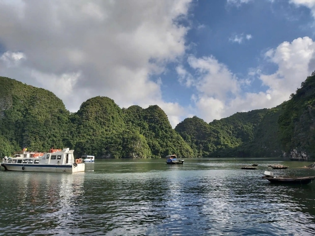 Hạ Long - Cát Bà: Hành trình xanh giữa di sản kép - 2 Hạ Long - Cát Bà: Hành trình xanh giữa di sản kép - 2