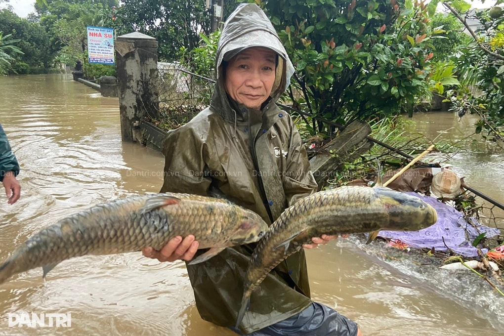 Miền Trung oằn mình trong lũ, nhà sập, người mất, tài sản cuốn trôi - 7 Miền Trung oằn mình trong lũ, nhà sập, người mất, tài sản cuốn trôi - 7