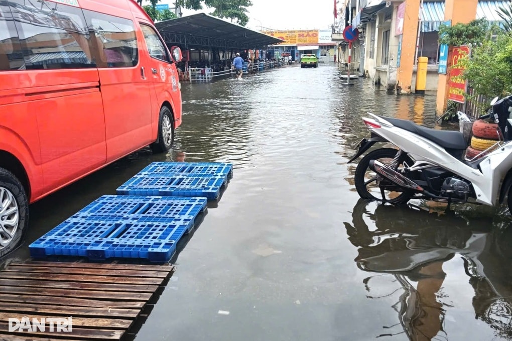 Những con số thiệt hại chục nghìn tỷ với chuyện sinh kế cho nông dân - 1 Những con số thiệt hại chục nghìn tỷ với chuyện sinh kế cho nông dân - 1