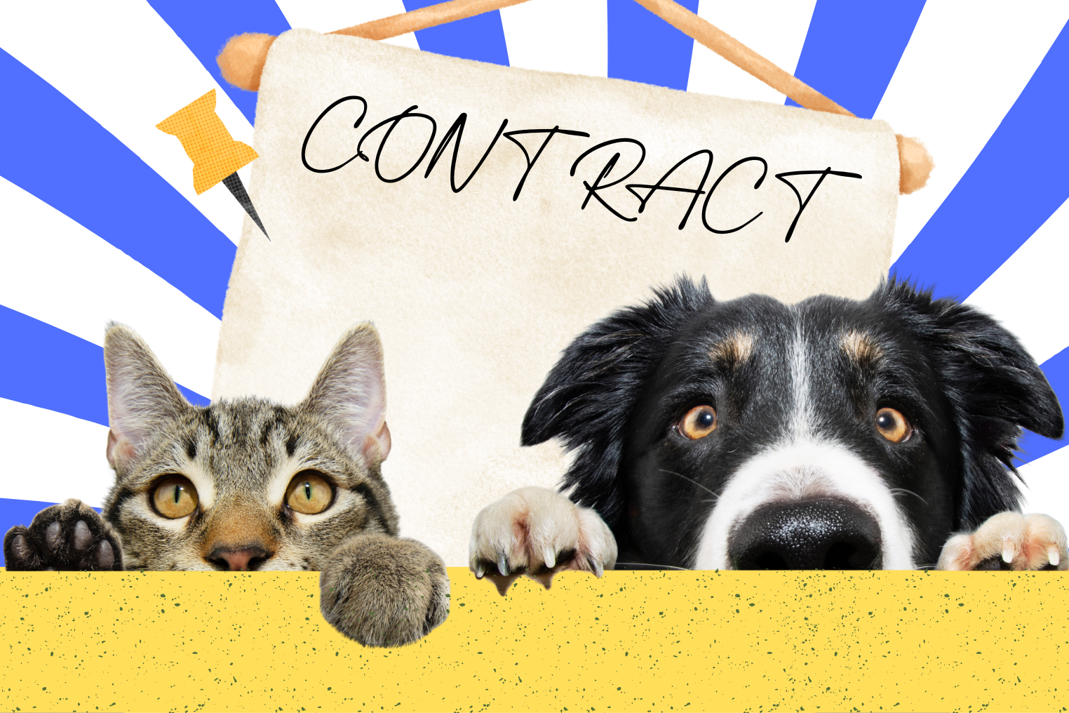 Gần 50% các cặp đôi sẵn sàng ký 'hợp đồng tiền hôn nhân cho thú cưng'