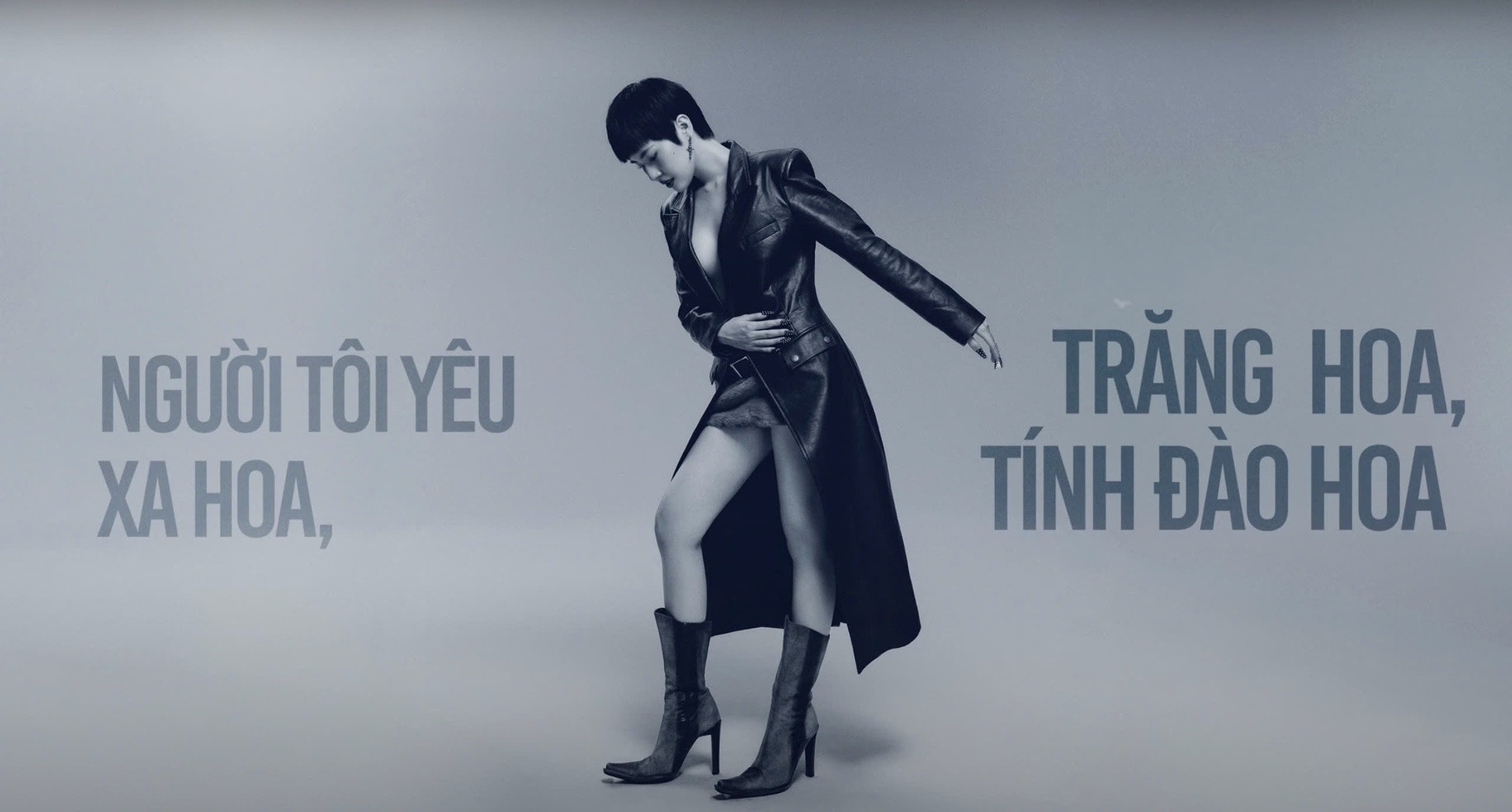 Pháo ảnh 1 Phao anh 1