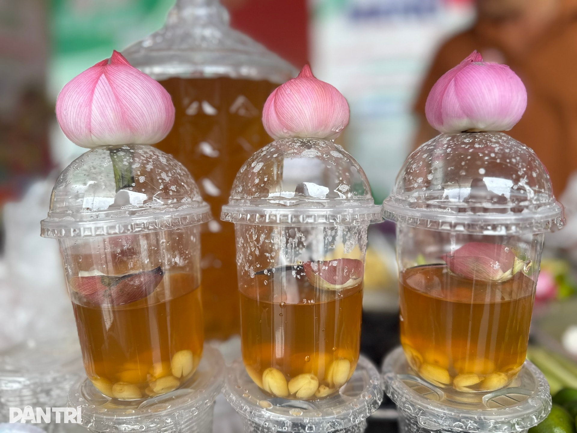 Cầm 200.000 đồng ăn đủ món ngon 3 miền tại Hội chợ Mùa Thu ở Hà Nội - 11 Cầm 200.000 đồng ăn đủ món ngon 3 miền tại Hội chợ Mùa Thu ở Hà Nội - 11