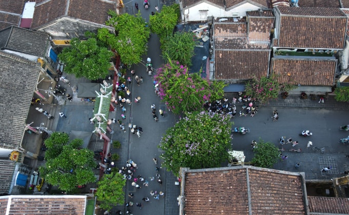 Du khách dạo bộ, tham qua các tuyến phố cổ ở Hội An. Ảnh: Đắc Thành