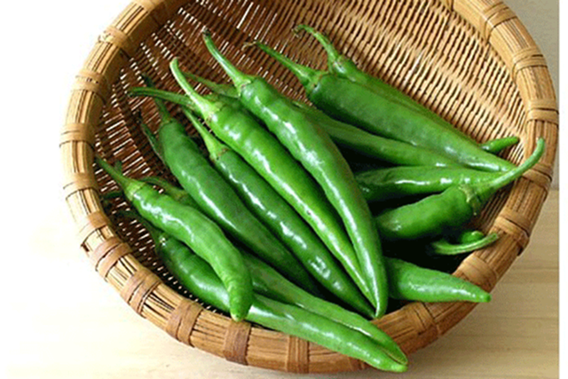 Đừng chỉ ăn lá, quả của cây này quý như "nhân sâm người nghèo" chợ nào cũng bán - Ảnh 3.