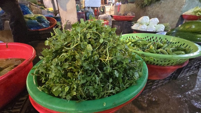 Giá nông thủy sản miền Tây: Rau xanh tăng giá vùn vụt - Ảnh 4. Giá nông thủy sản miền Tây: Rau xanh tăng giá vùn vụt - Ảnh 4.