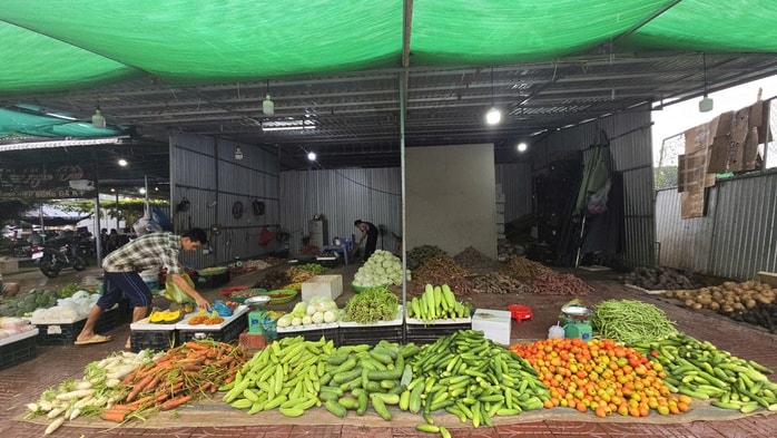 Giá nông thủy sản miền Tây: Rau xanh tăng giá vùn vụt - Ảnh 2. Giá nông thủy sản miền Tây: Rau xanh tăng giá vùn vụt - Ảnh 2.