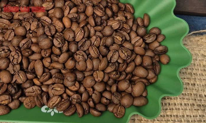 Giá cà phê hôm nay 31 - 10 tăng tiếp giữ vị thế số 1 cho cà phê Việt Nam - Ảnh 2. Giá cà phê hôm nay 31 - 10 tăng tiếp giữ vị thế số 1 cho cà phê Việt Nam - Ảnh 2.