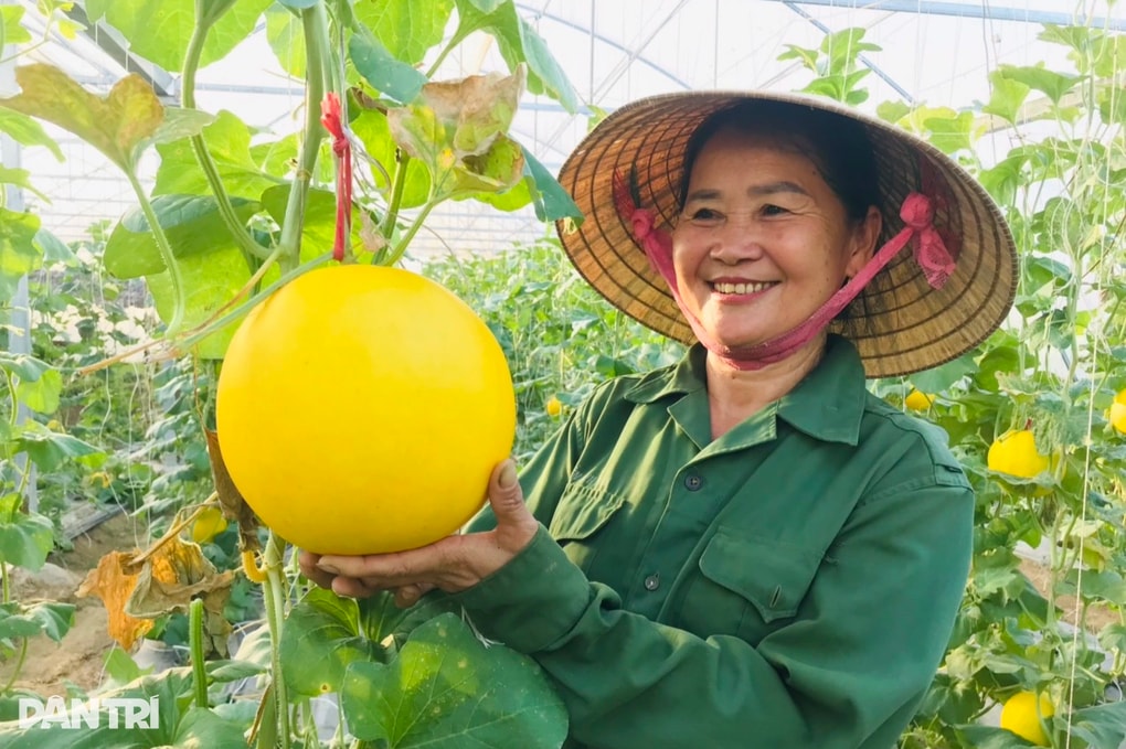 Nghệ An giảm nghèo đạt mục tiêu, hướng tới thực chất - 3 Nghệ An giảm nghèo đạt mục tiêu, hướng tới thực chất - 3