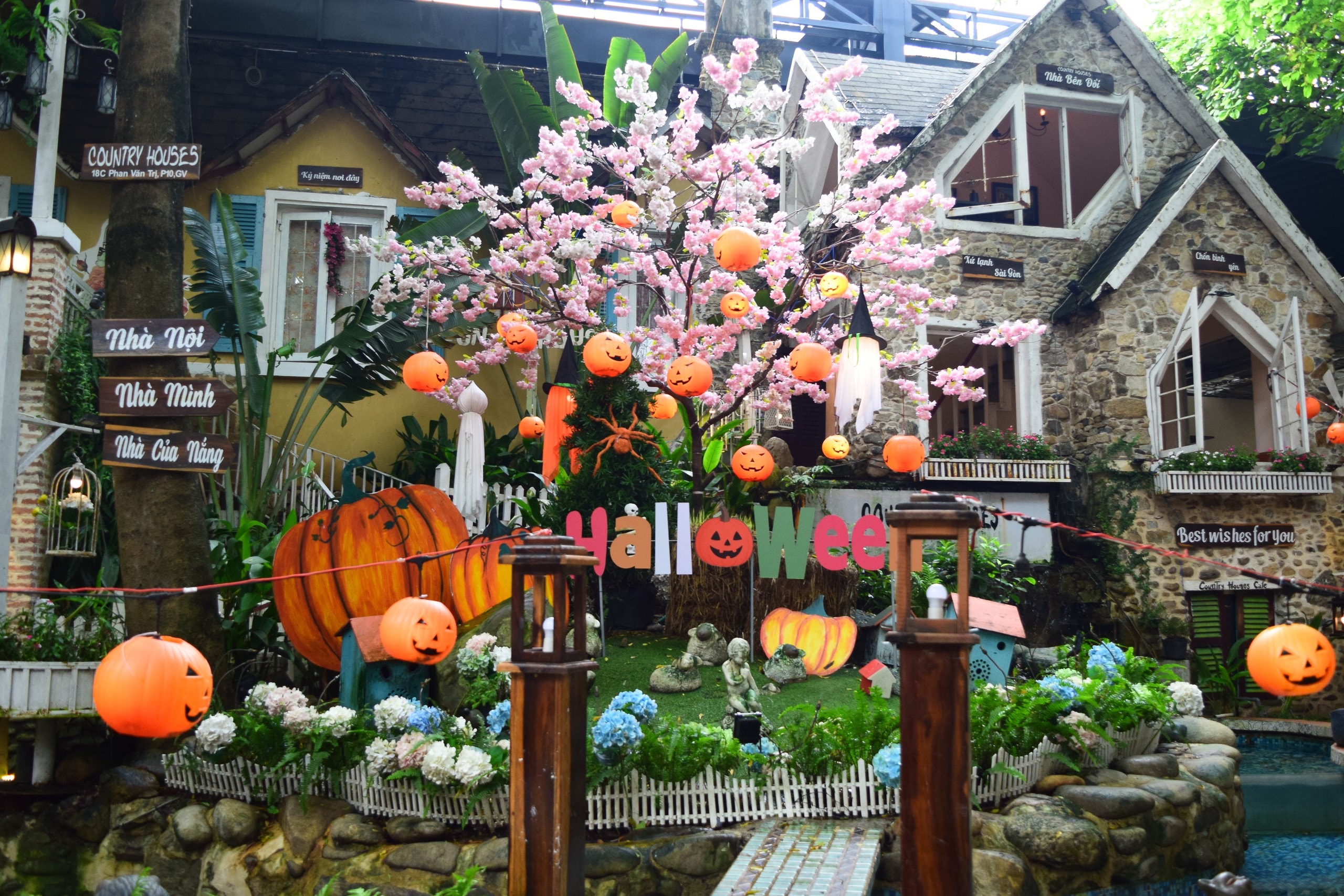 Ấn tượng màu sắc lễ hội Halloween giữa mùa mưa - Ảnh 3.