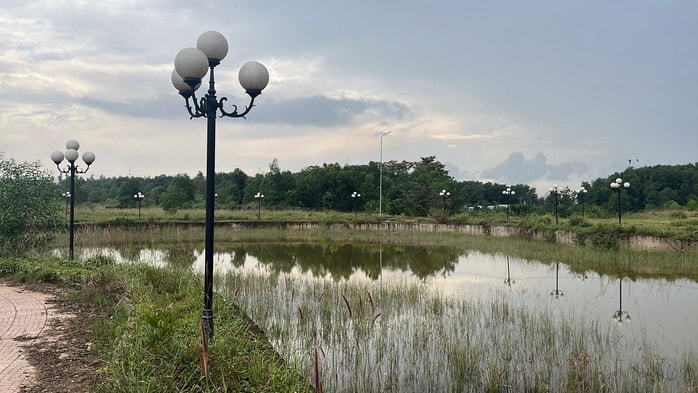 Khu dân cư PNR Estella ở Đồng Nai bị kết luận sai phạm nghiêm trọng - Ảnh 6. Khu dân cư PNR Estella ở Đồng Nai bị kết luận sai phạm nghiêm trọng - Ảnh 6.