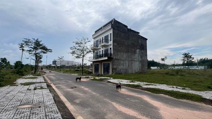 Khu dân cư PNR Estella ở Đồng Nai bị kết luận sai phạm nghiêm trọng - Ảnh 5. Khu dân cư PNR Estella ở Đồng Nai bị kết luận sai phạm nghiêm trọng - Ảnh 5.