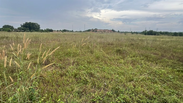 Khu dân cư PNR Estella ở Đồng Nai bị kết luận sai phạm nghiêm trọng - Ảnh 8. Khu dân cư PNR Estella ở Đồng Nai bị kết luận sai phạm nghiêm trọng - Ảnh 8.