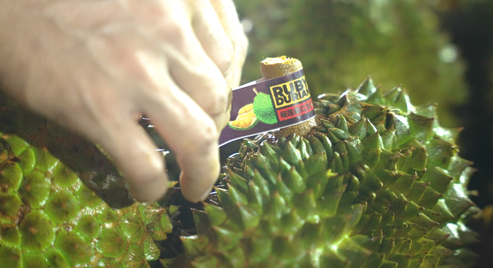 Cục Trồng trọt và Bảo vệ thực vật thông tin mới nhất về hoạt động kiểm nghiệm sầu riêng  - Ảnh 1.