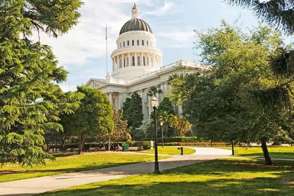 Du khách bịt mũi vì mùi nôn ói tỏa ra từ cặp cổ thụ 75 tuổi ở công viên - 1 Du khách bịt mũi vì mùi nôn ói tỏa ra từ cặp cổ thụ 75 tuổi ở công viên - 1