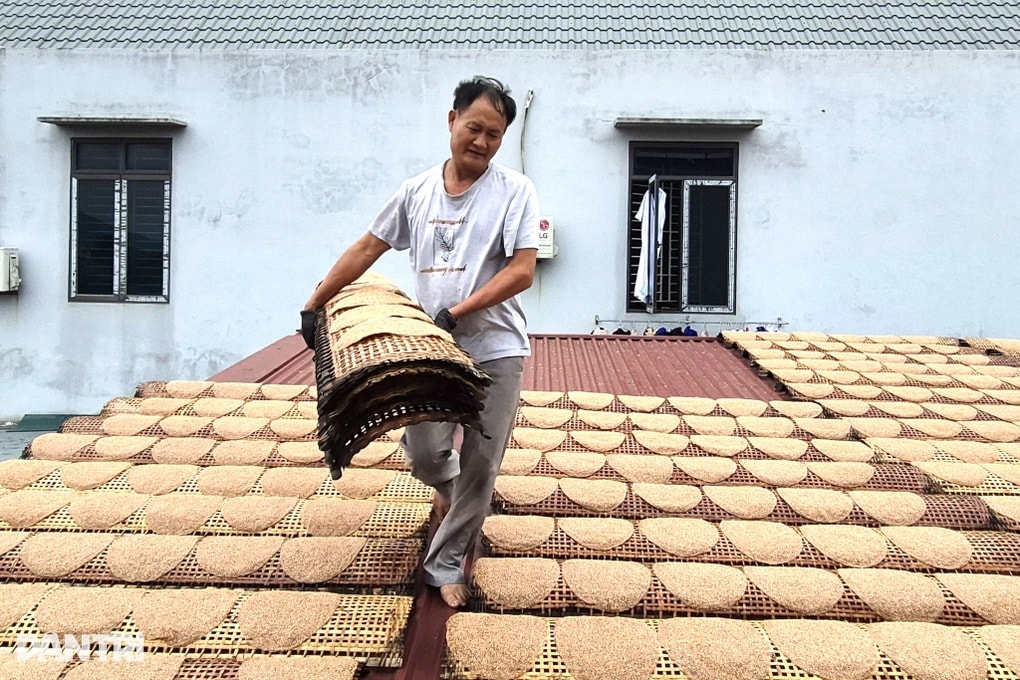 Bí quyết kiếm nửa triệu đồng mỗi ngày nhờ thứ quà quê - 2