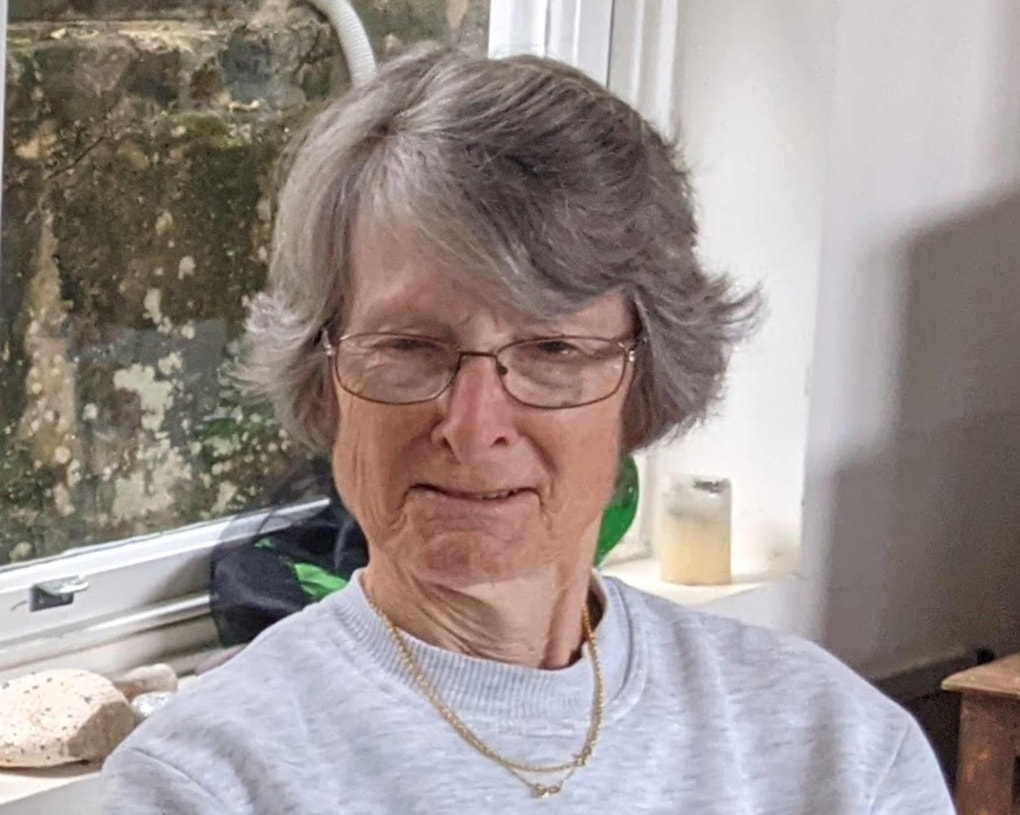 Hành khách 80 tuổi bị du thuyền sang trọng bỏ quên, tử vong trên đảo - 1