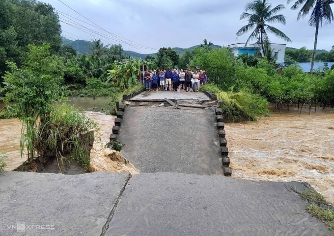 Cầy Cây Sung gãy, rớt xuống sông. Ảnh: Quốc Việt