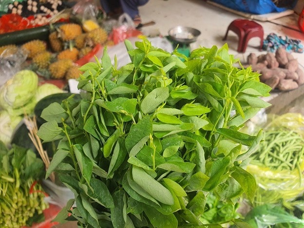 Loại rau có lượng sắt gấp 7 lần thịt bò nhưng giá lại "siêu rẻ" - Ảnh 1.