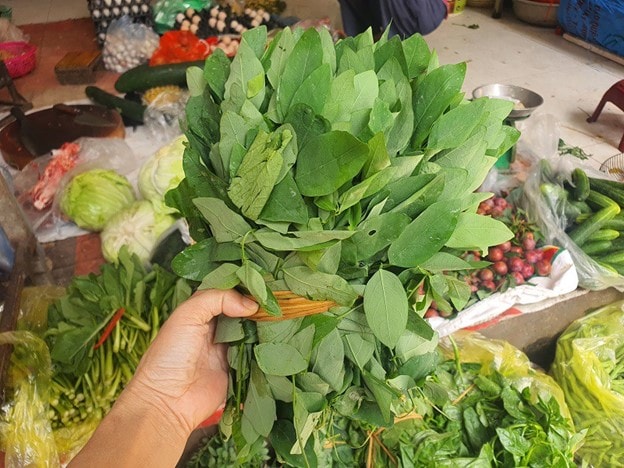 Loại rau có lượng sắt gấp 7 lần thịt bò nhưng giá lại "siêu rẻ" - Ảnh 2.