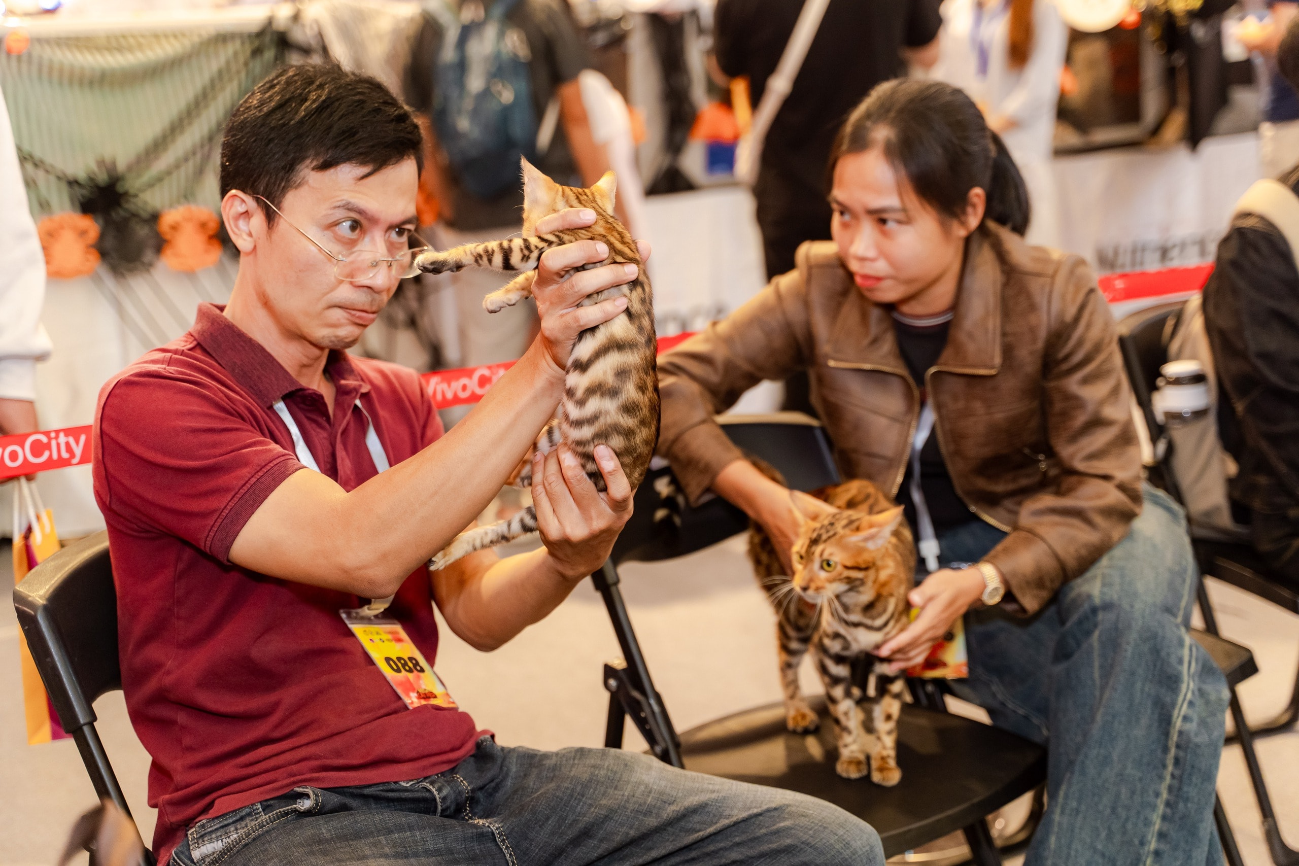 VIDEO: Lần đầu cặp đôi mèo "xấu nhất thế giới" có mặt tại TP HCM - Ảnh 10.