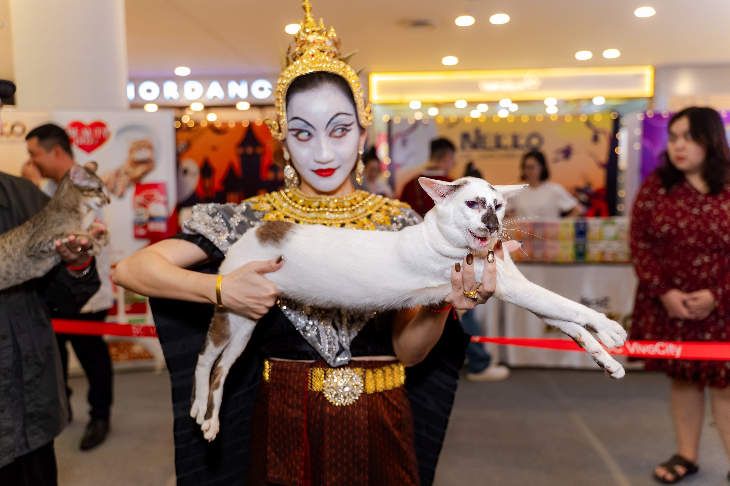 VIDEO: Lần đầu cặp đôi mèo "xấu nhất thế giới" có mặt tại TP HCM - Ảnh 3.