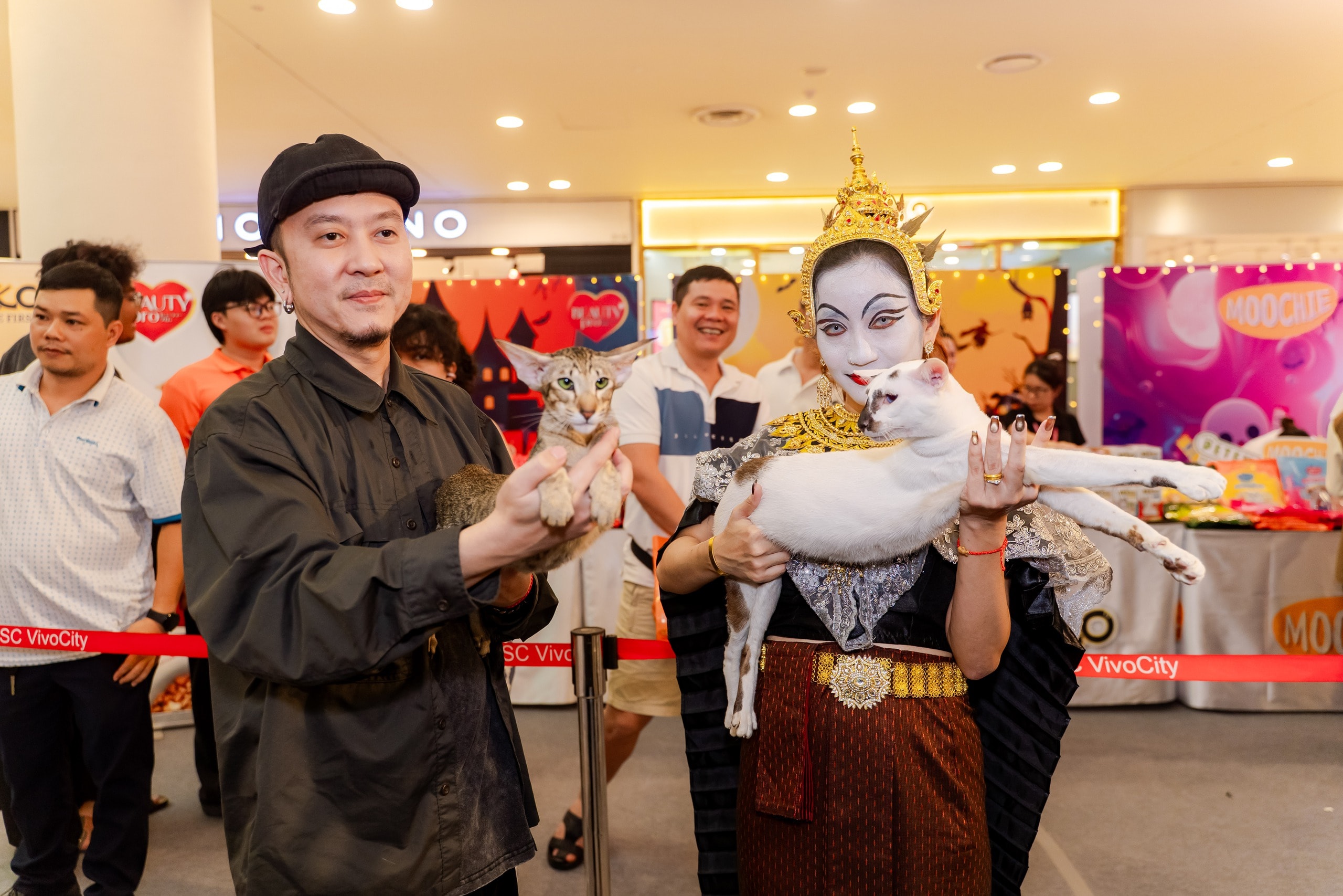 VIDEO: Lần đầu cặp đôi mèo "xấu nhất thế giới" có mặt tại TP HCM - Ảnh 2.