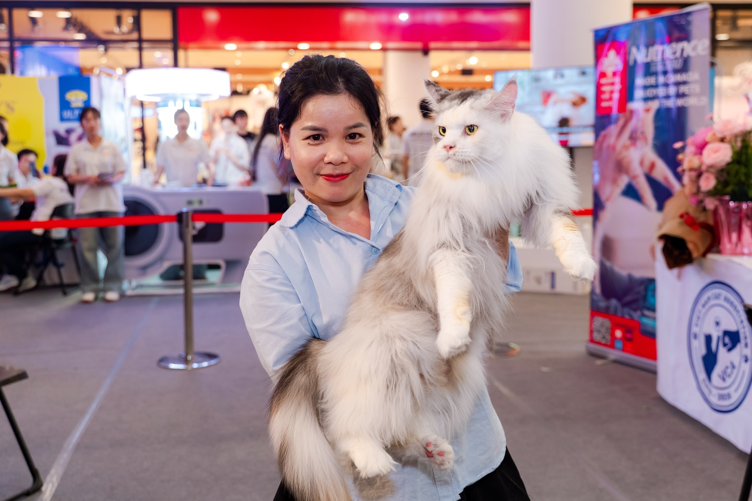 VIDEO: Lần đầu cặp đôi mèo "xấu nhất thế giới" có mặt tại TP HCM - Ảnh 7.