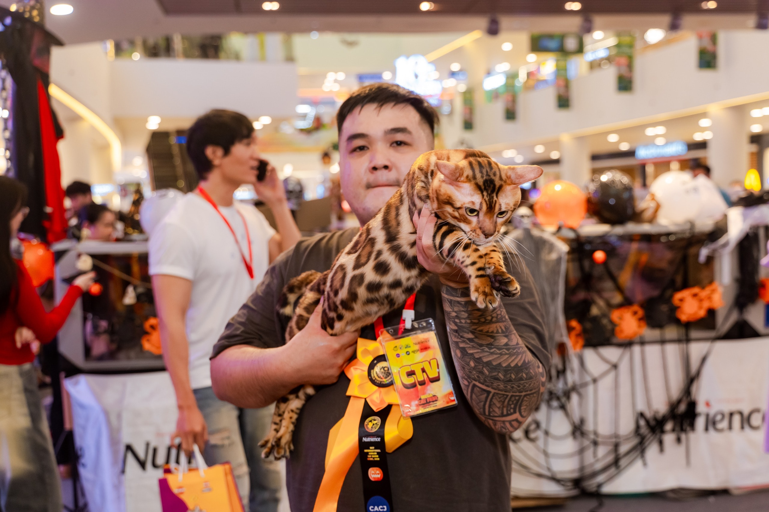 VIDEO: Lần đầu cặp đôi mèo "xấu nhất thế giới" có mặt tại TP HCM - Ảnh 8.