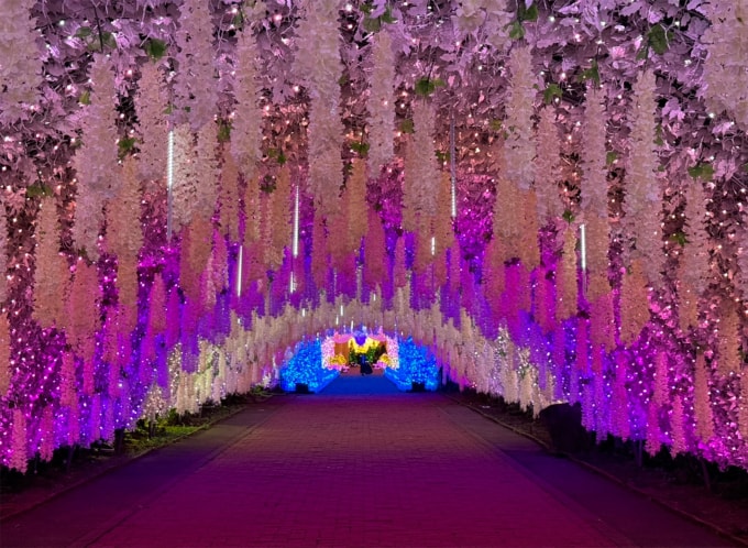 Đường hầm ánh sáng ở Gotemba Kogen. Ảnh: JNTO