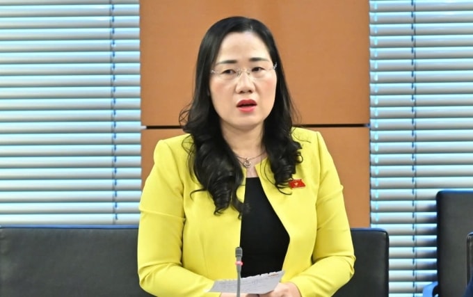Phó chủ nhiệm Ủy ban Pháp luật và Tư pháp Nguyễn Thị Thủy phát biểu tại thảo luận tổ, sáng 3/11. Ảnh: Hoàng Phong
