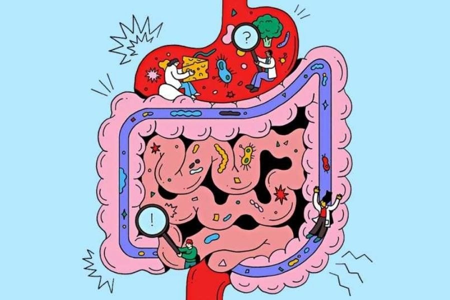 Mụn trứng cá do rối loạn đường ruột thường đi kèm với những triệu chứng tiêu hóa rõ rệt (Pinterest)