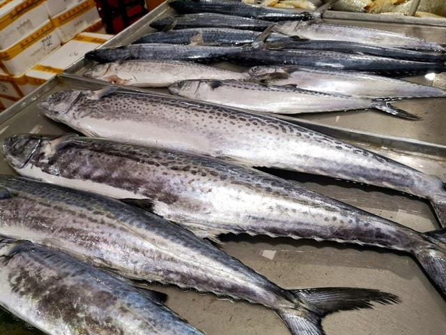 3 loại cá nên ăn nhiều vào mùa lạnh: Thịt nhiều ít xương, dễ tiêu và đặc biệt ngon - Ảnh 1.