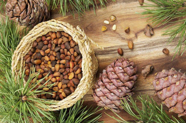 Loại hạt đắt đỏ bậc nhất thế giới, ở Việt Nam xưa rụng đầy gốc ít ai nhặt - Ảnh 5.