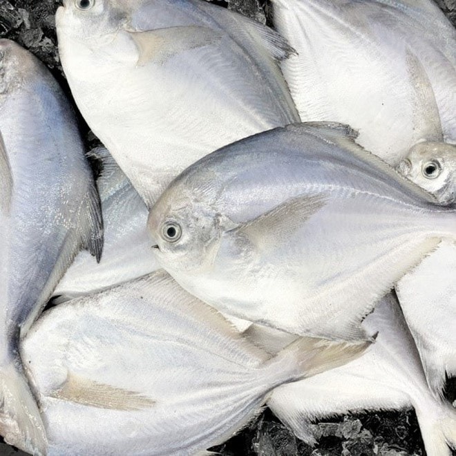 3 loại cá nên ăn nhiều vào mùa lạnh: Thịt nhiều ít xương, dễ tiêu và đặc biệt ngon - Ảnh 4.