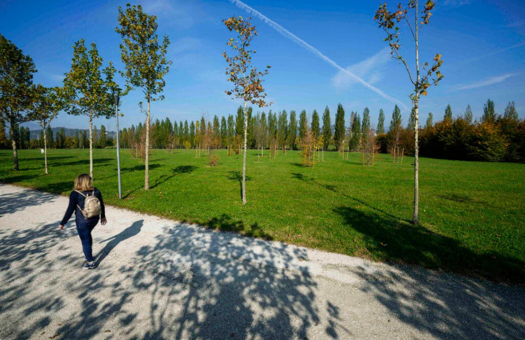 Rừng tưởng niệm tại Công viên Parco della Trucca, ở Bergamo, Italy. Ảnh: CBS News