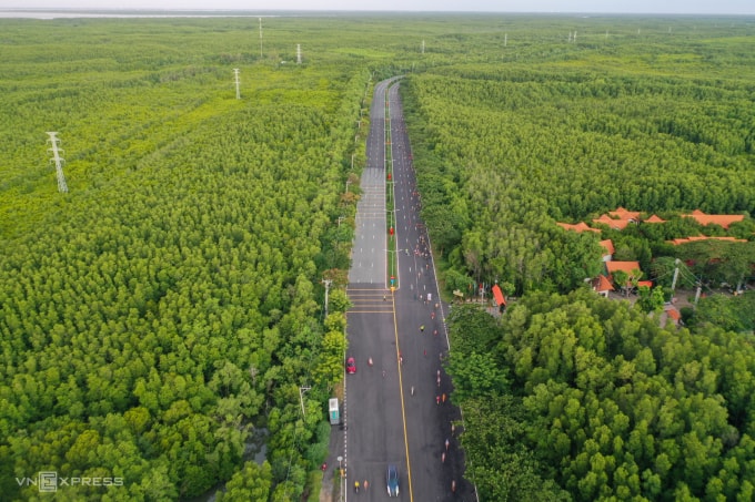 Đường Rừng Sác đi xuyên qua rừng Cần Giờ, tháng 9/2024. Ảnh: Quỳnh Trần