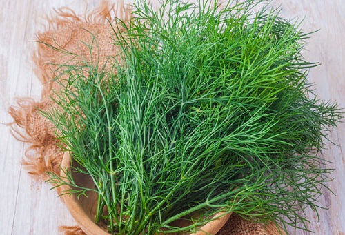 Loại rau có tên khác biệt "thì là" và những lợi ích sức khỏe không phải ai cũng biết - Ảnh 3.