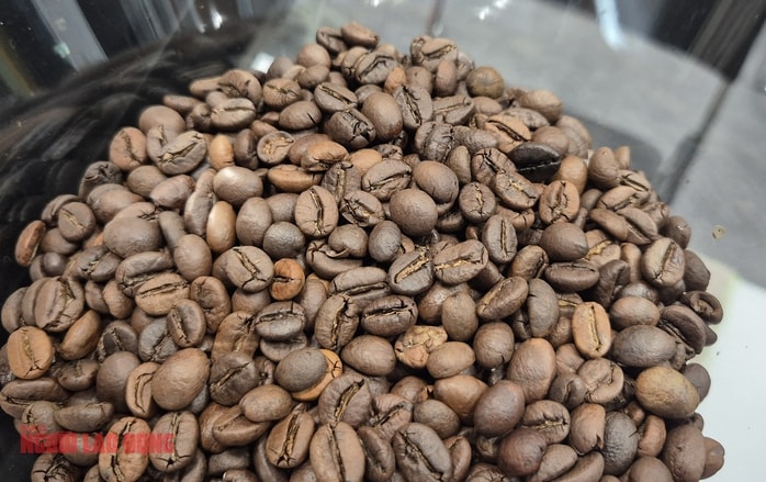 Giá cà phê hôm nay 4 - 11 tăng vọt tạo lo ngại về nguồn cung - Ảnh 2. Giá cà phê hôm nay 4 - 11 tăng vọt tạo lo ngại về nguồn cung - Ảnh 2.