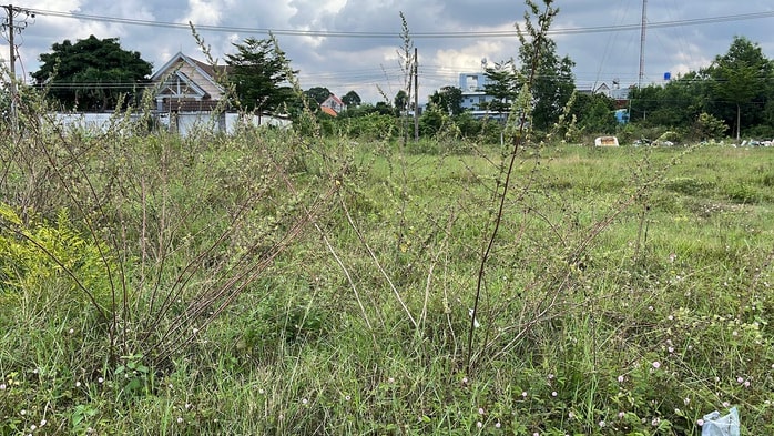 Cận cảnh khu dân cư An Phước ở Đồng Nai: Thực trạng dự án vi phạm pháp luật - Ảnh 7. Cận cảnh khu dân cư An Phước ở Đồng Nai: Thực trạng dự án vi phạm pháp luật - Ảnh 7.