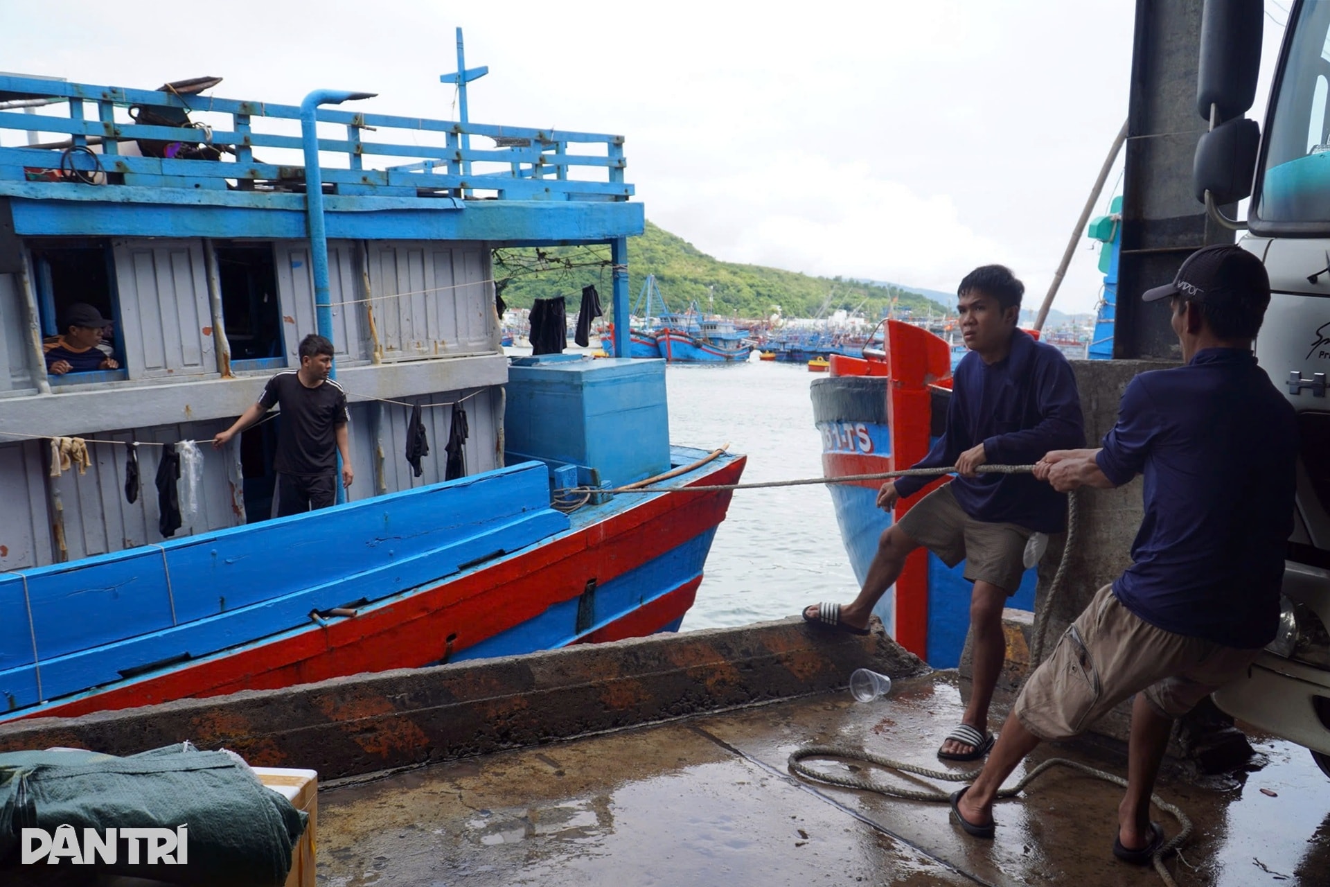 Chấp nhận lỗ cả trăm triệu đồng, ngư dân vượt sóng về tránh bão Kalmaegi - 7