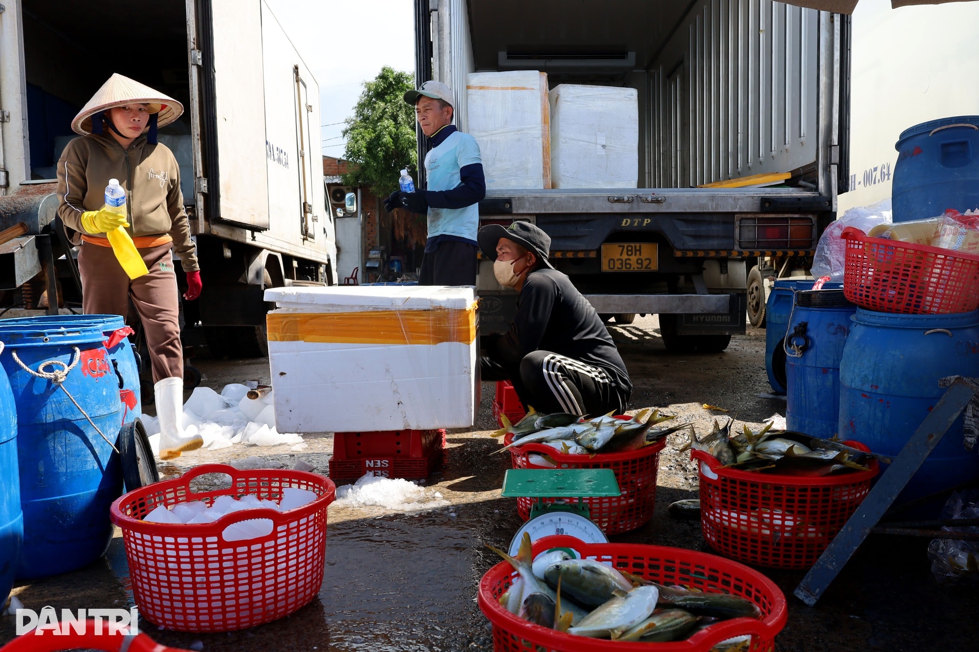 Chấp nhận lỗ cả trăm triệu đồng, ngư dân vượt sóng về tránh bão Kalmaegi - 6